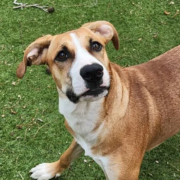 Harold Jum thumbnail 2