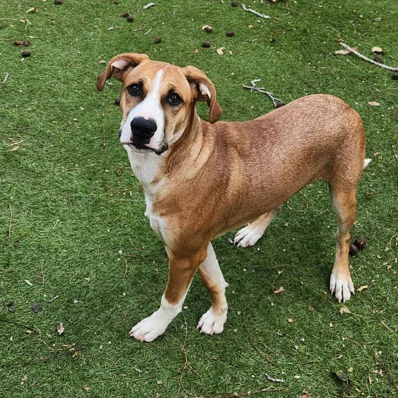 Harold Jum thumbnail 5