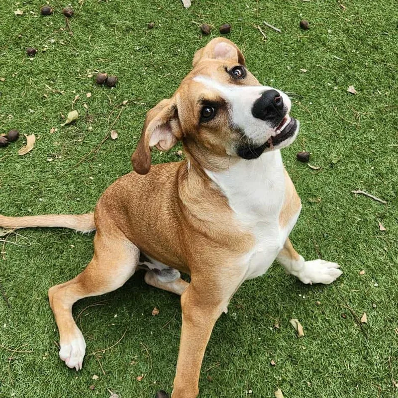 Harold Jum thumbnail 6