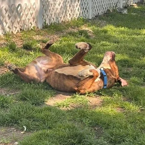 Buster
