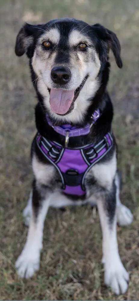 Ellie