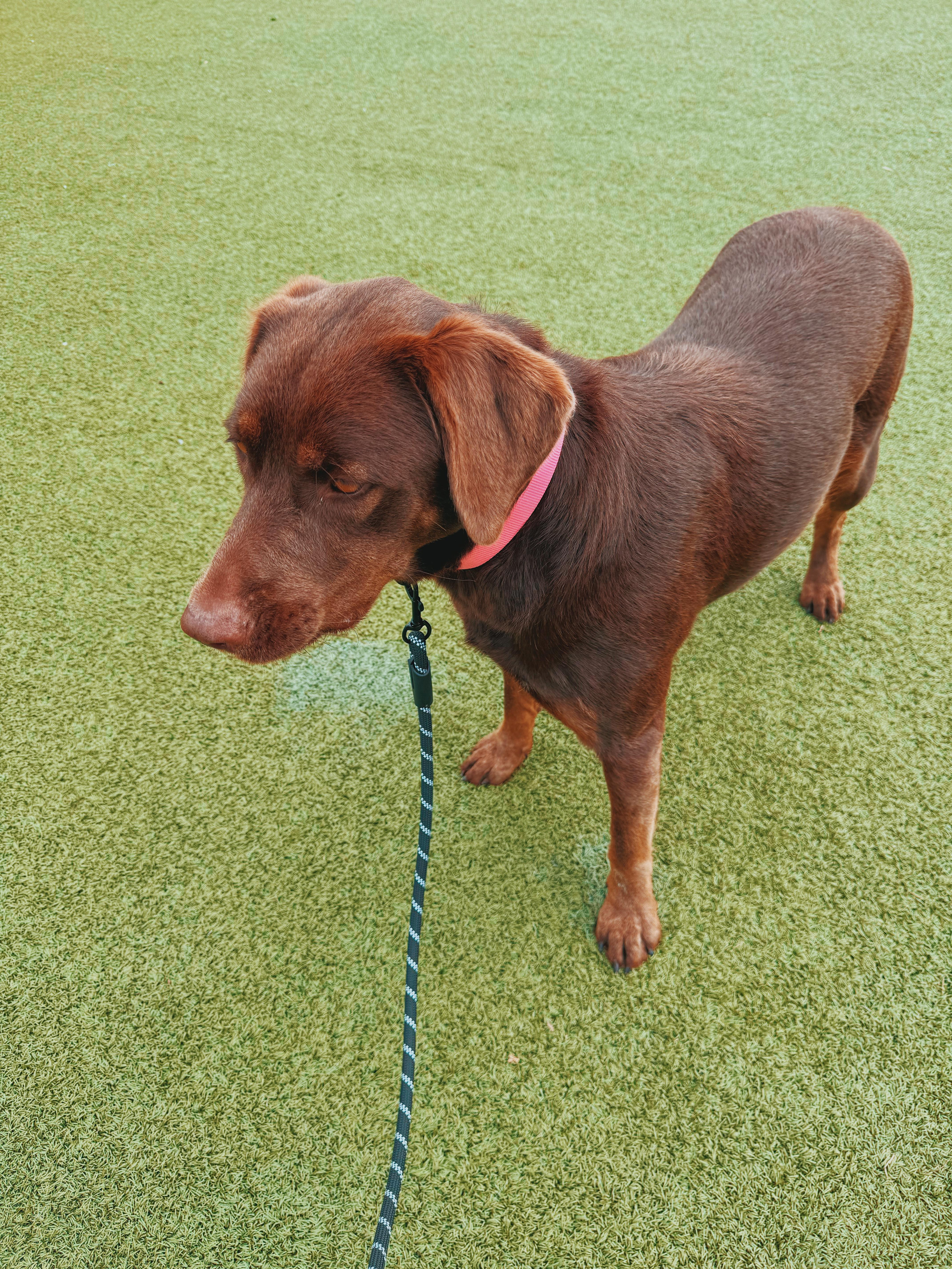 Maggie thumbnail 5