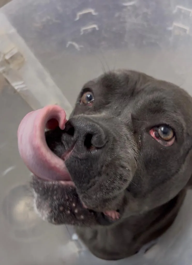 Ruby Barker thumbnail 2