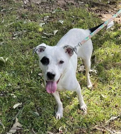 Mr Belvedere thumbnail 3