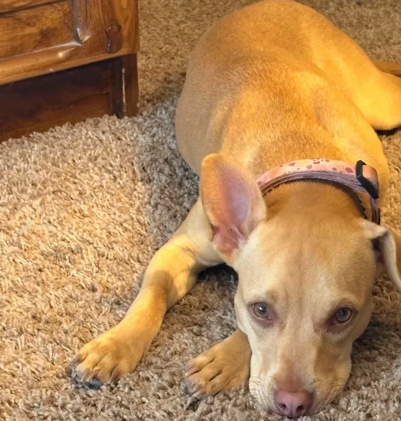 Maggie thumbnail 2