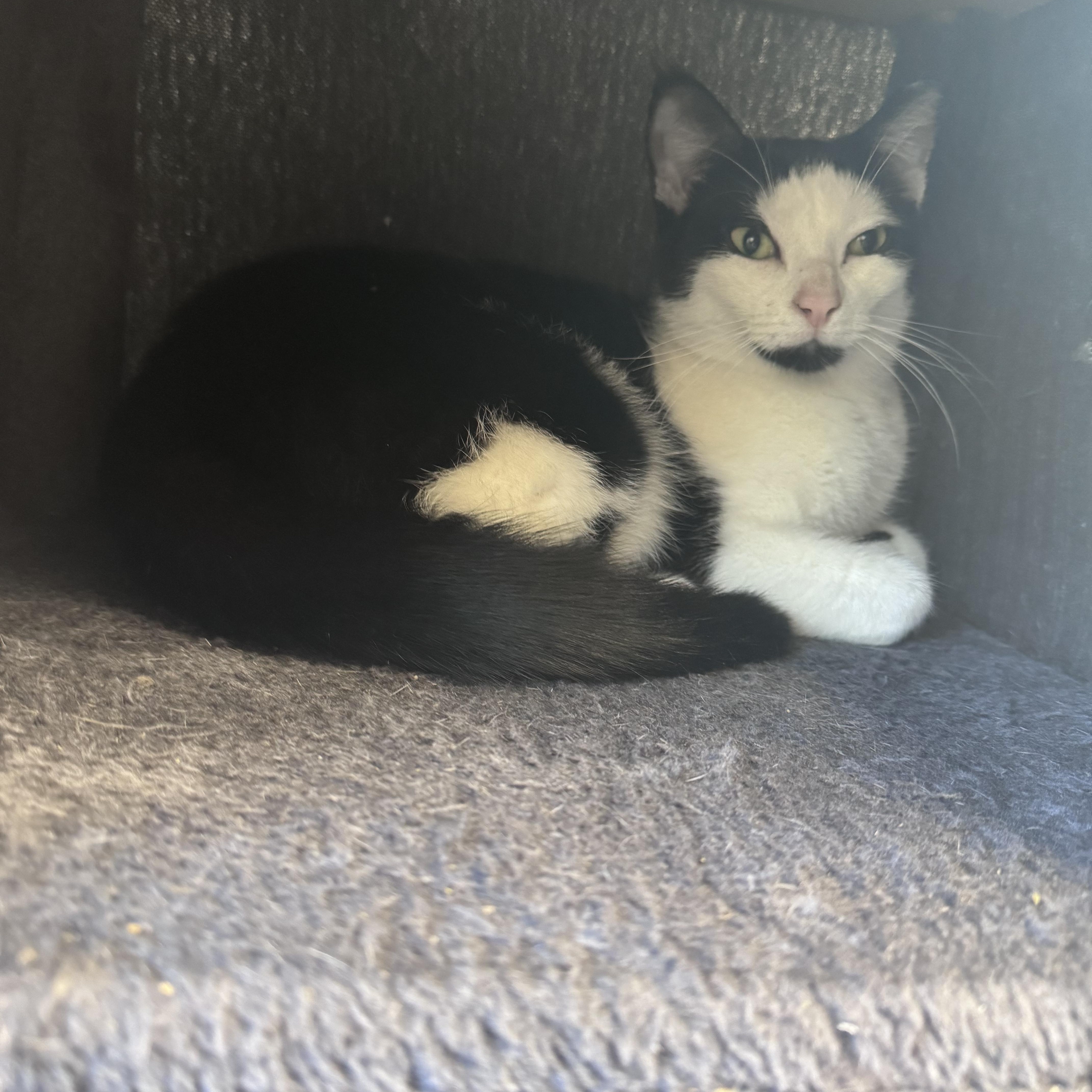 Mickey & Minnie thumbnail 2