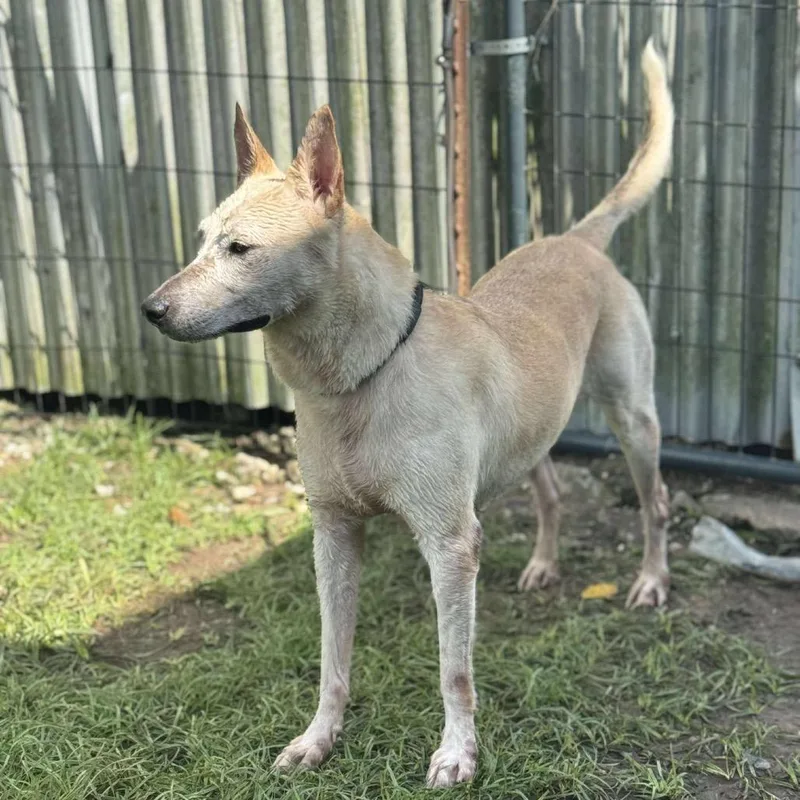 Millie Mae thumbnail 4