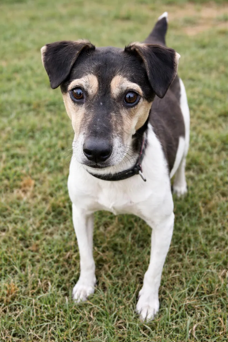 Stevie Wonder thumbnail 3