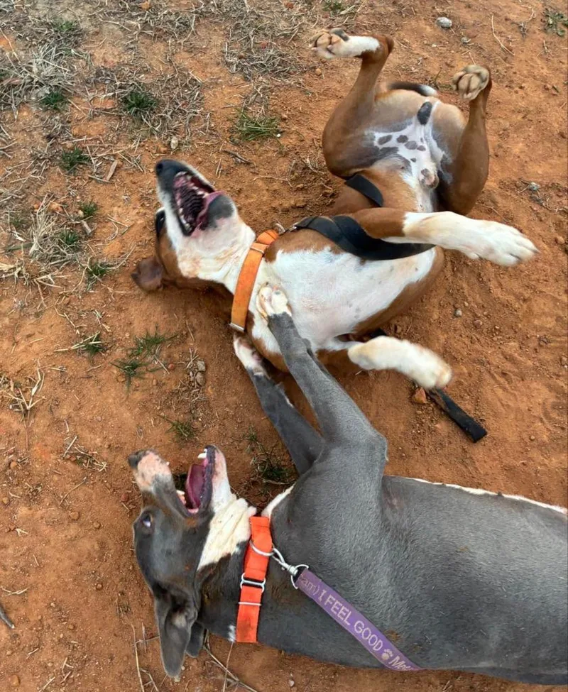 Winifred thumbnail 2