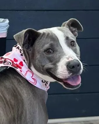 Winifred thumbnail 3