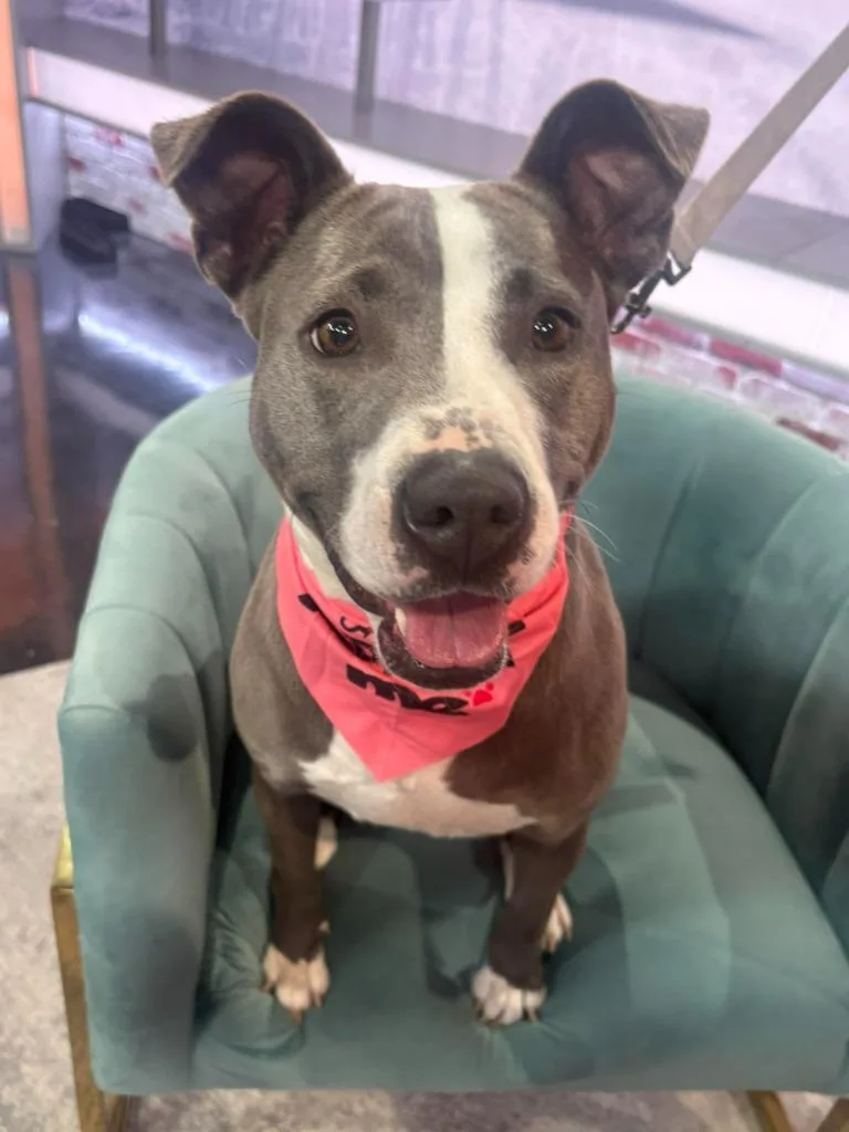 Winifred thumbnail 5