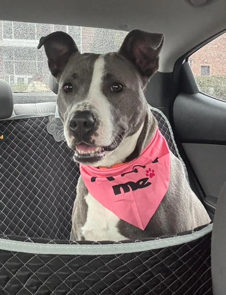 Winifred thumbnail 6