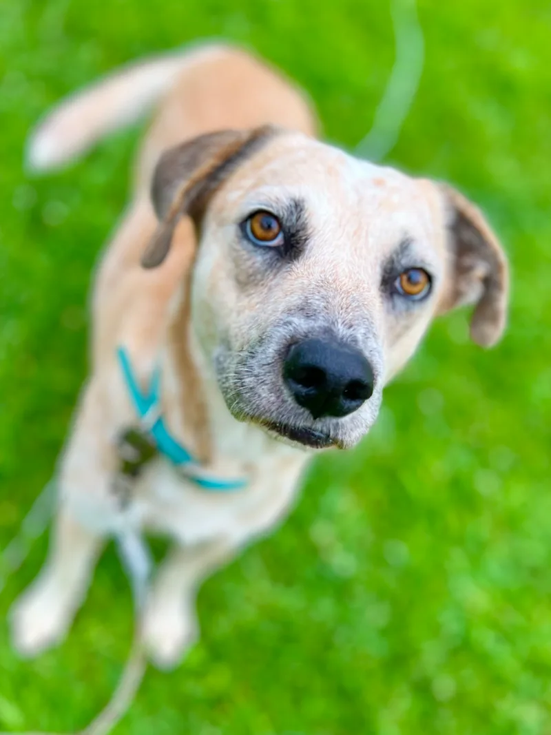 Misty The Ghost thumbnail 3