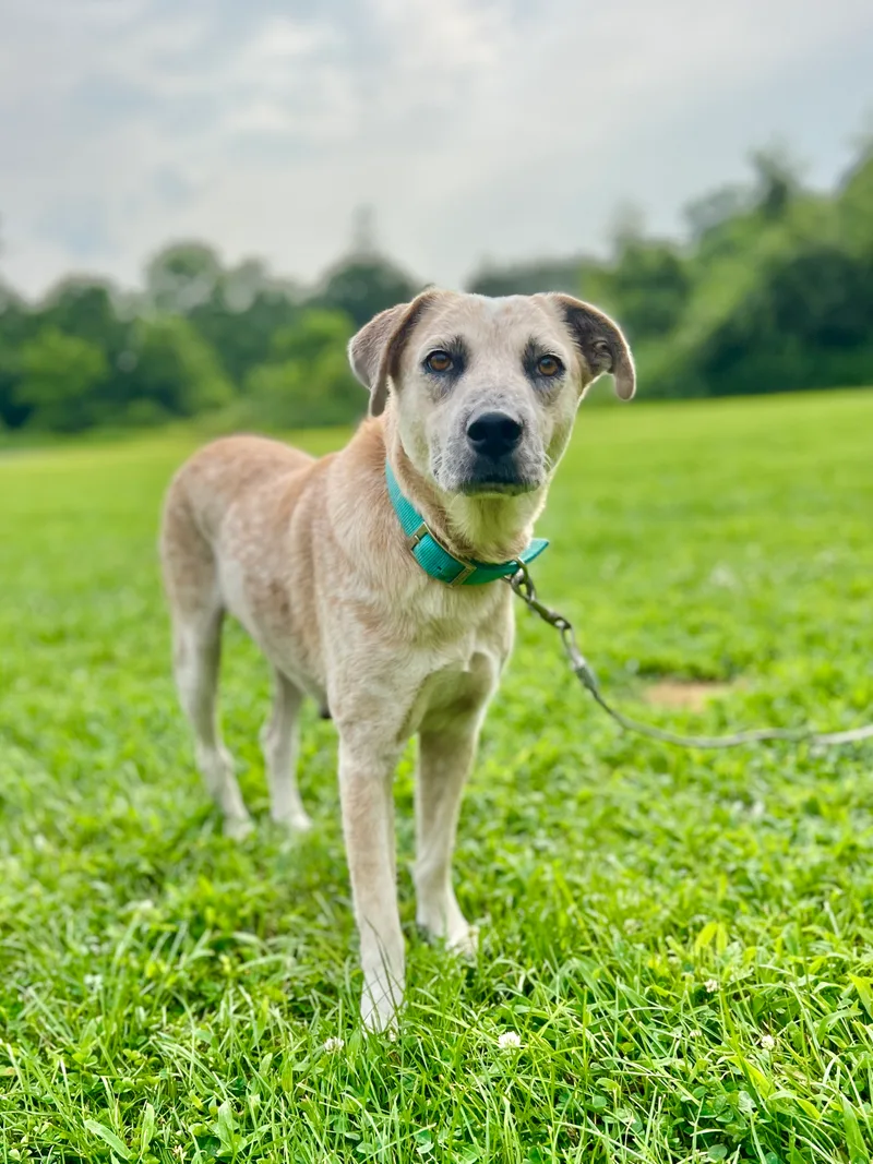 Misty The Ghost thumbnail 5