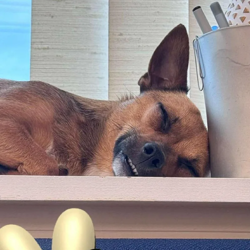 Tortellini thumbnail 4