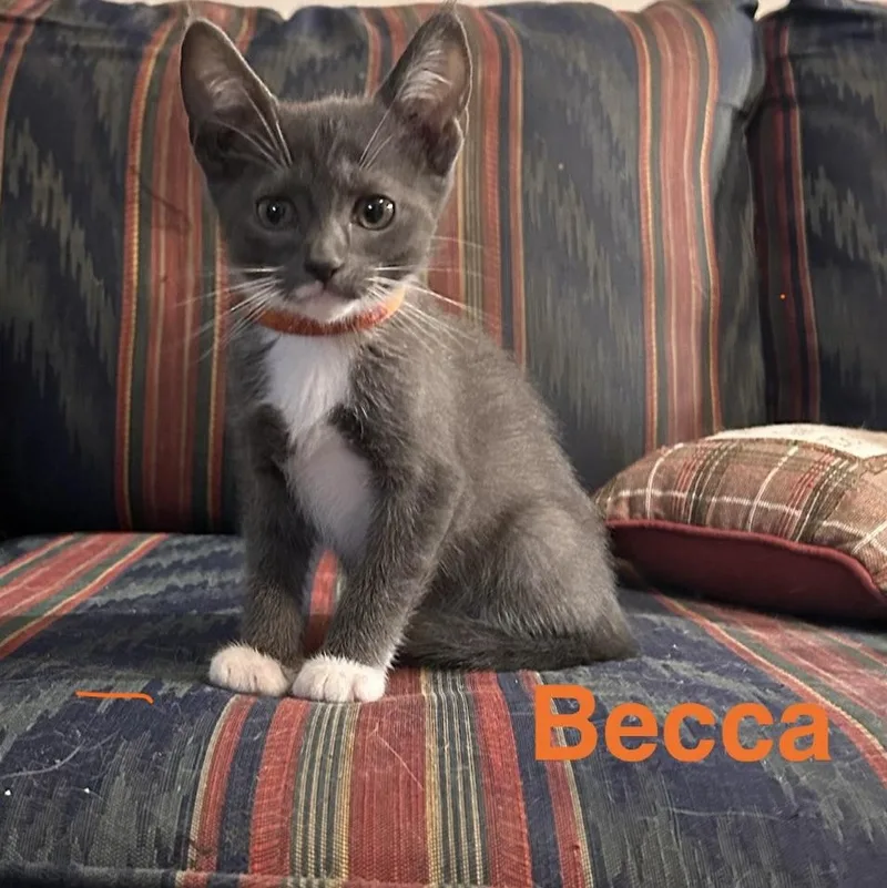 Becca thumbnail 2