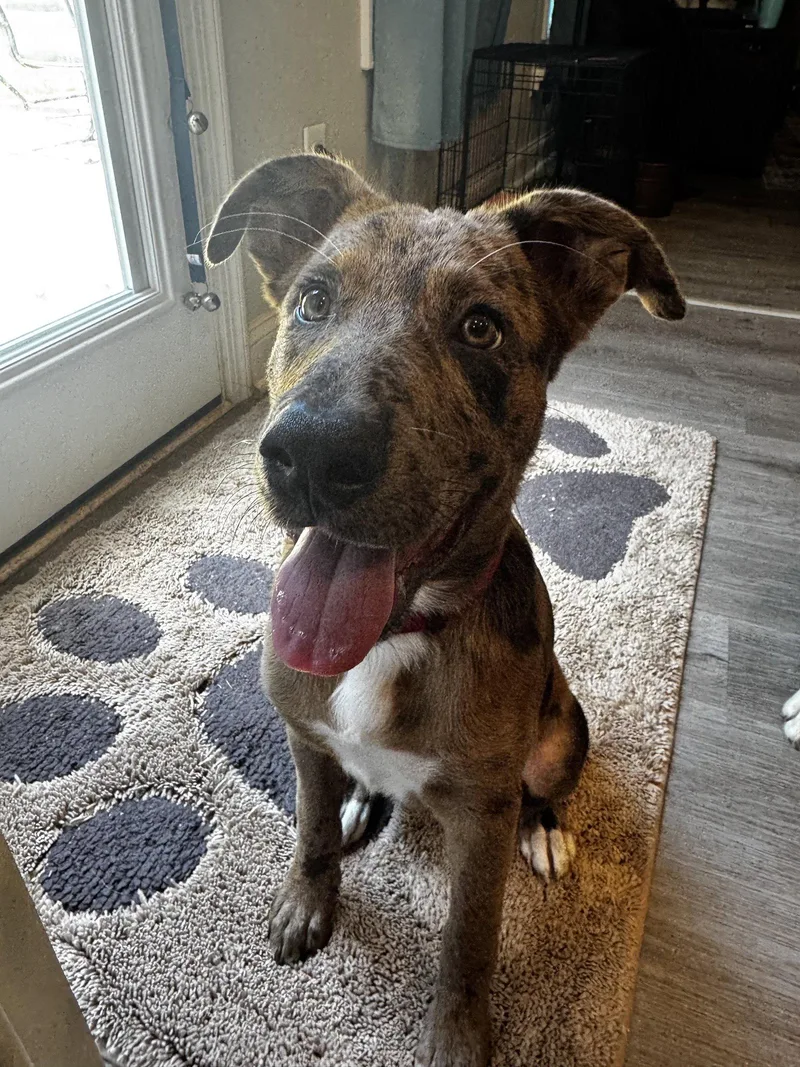 Jax