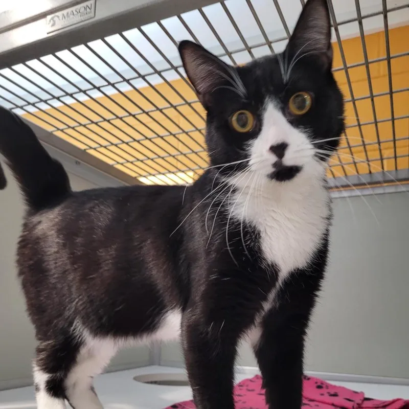 Hey! I Know This thumbnail 3