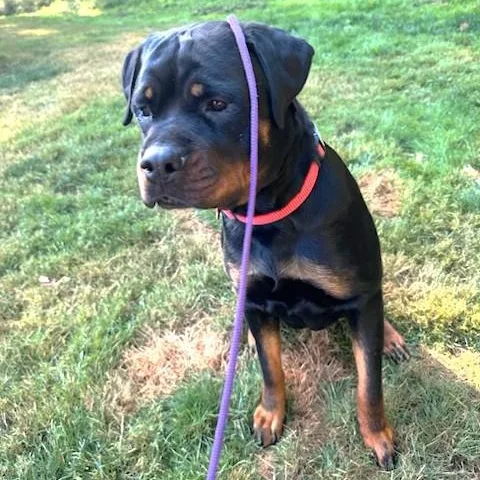 Ruby