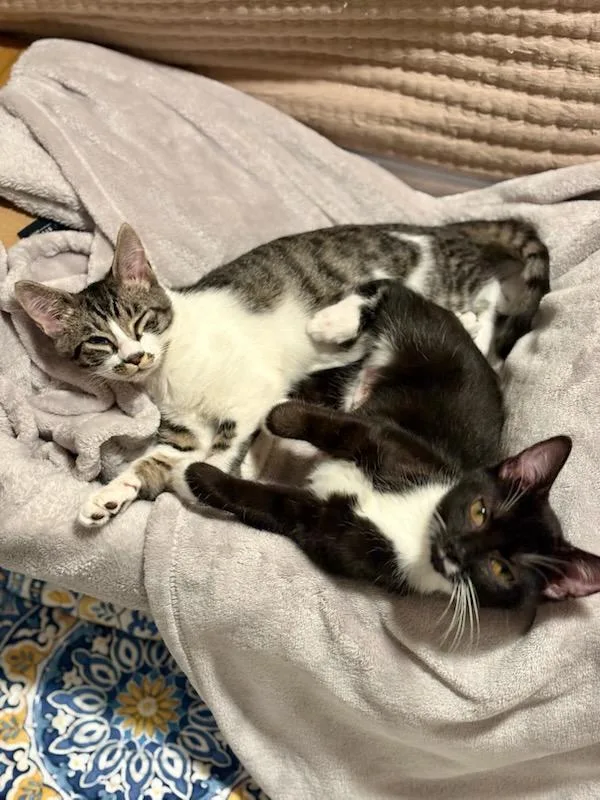 Skippy Jon thumbnail 2