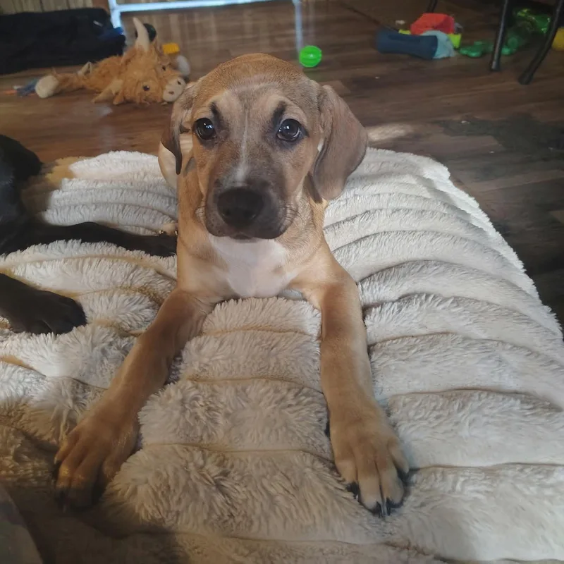 Matilda