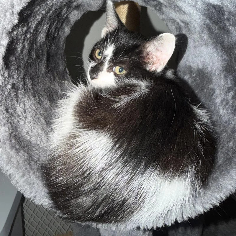 Stella @ Petco thumbnail 2
