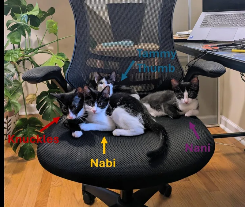Nani thumbnail 2