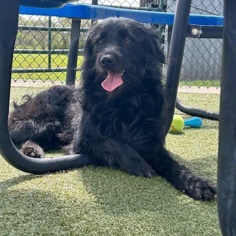 Prince Martin thumbnail 2