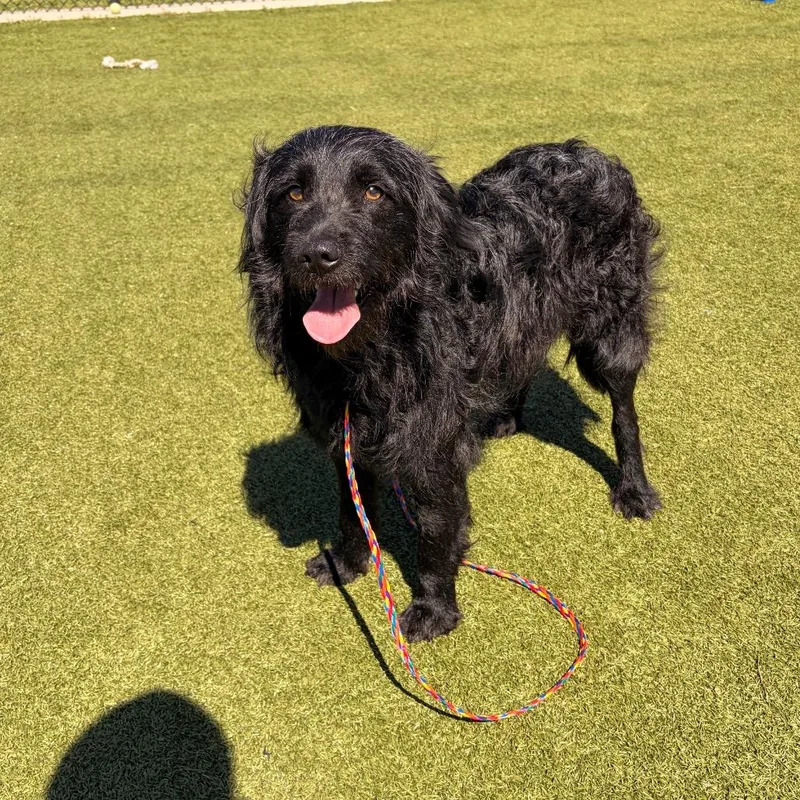 Prince Martin thumbnail 3