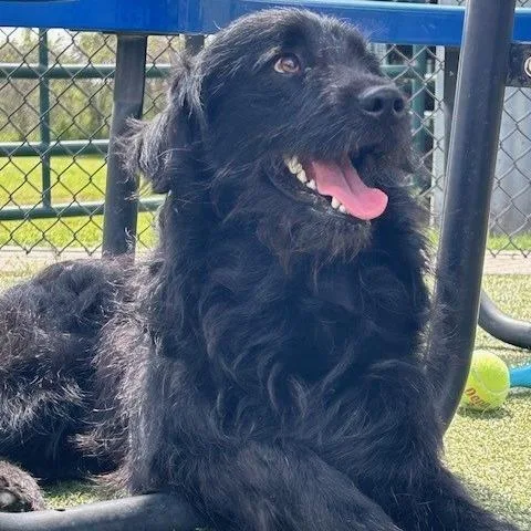 Prince Martin thumbnail 5