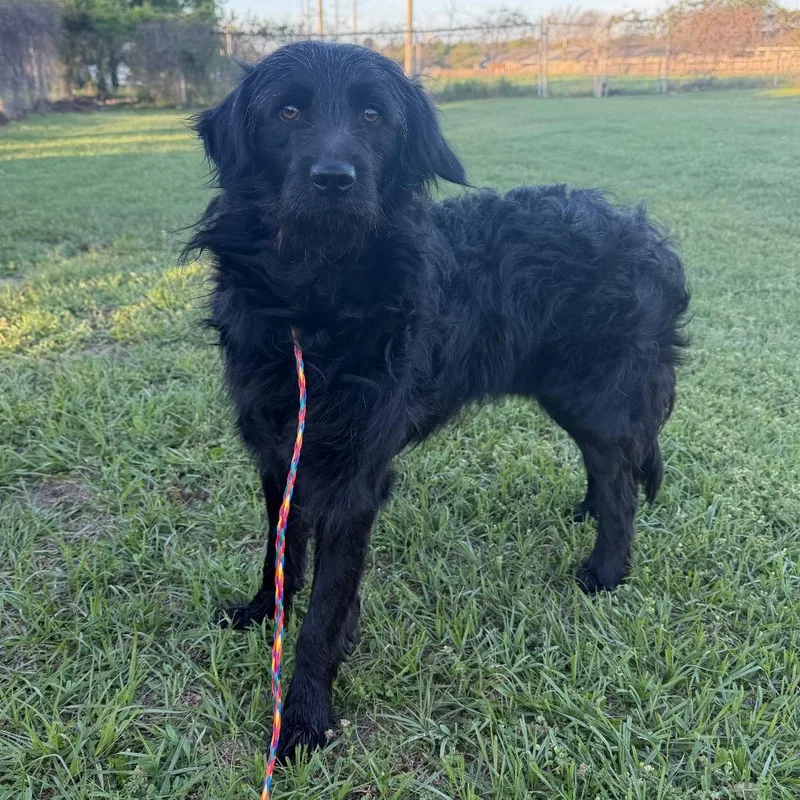 Prince Martin thumbnail 6