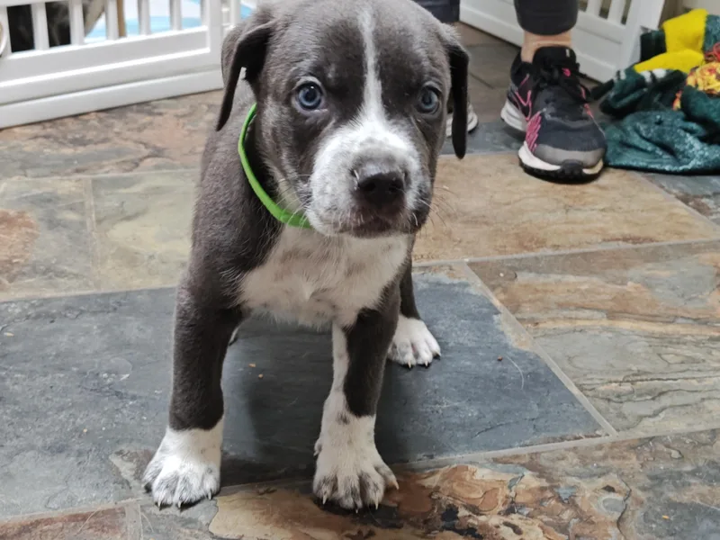 Mick Jagger thumbnail 3