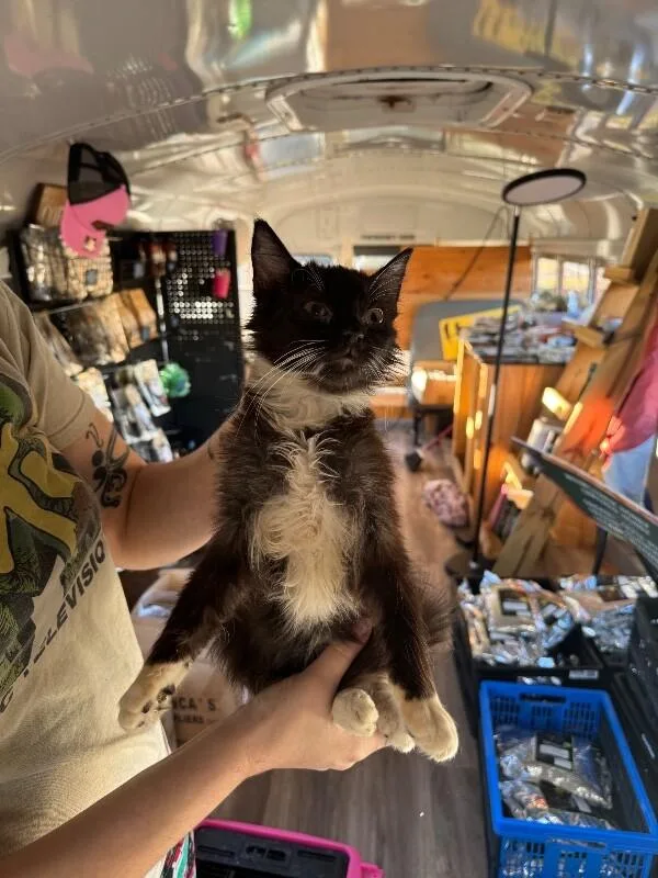 Goldfinger thumbnail 6