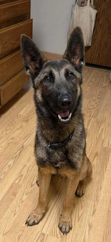 O'malley thumbnail 3