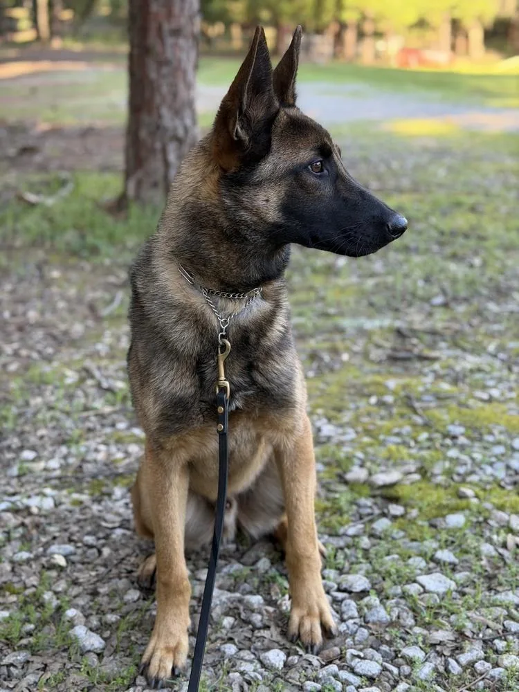 O'malley thumbnail 4