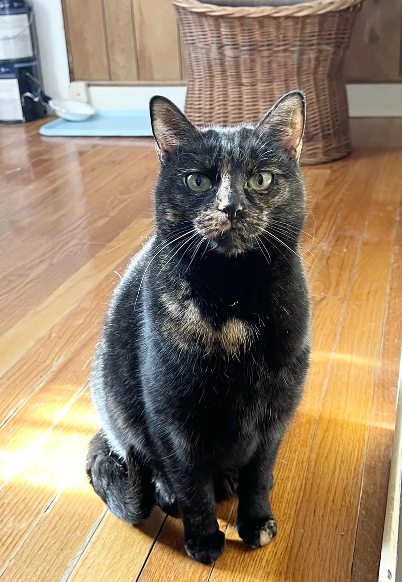 Leona Helmsley thumbnail 3