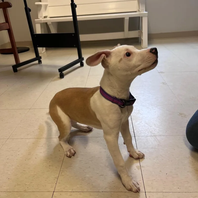 Macey @ Prison Program thumbnail 2