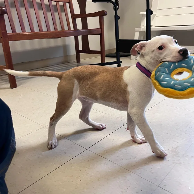 Macey @ Prison Program thumbnail 3