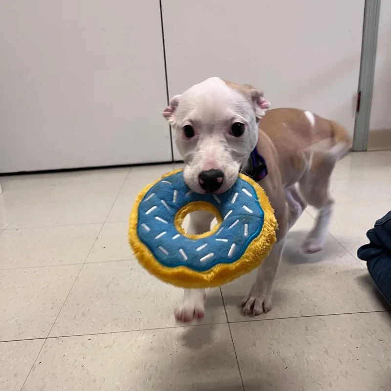 Macey @ Prison Program thumbnail 4