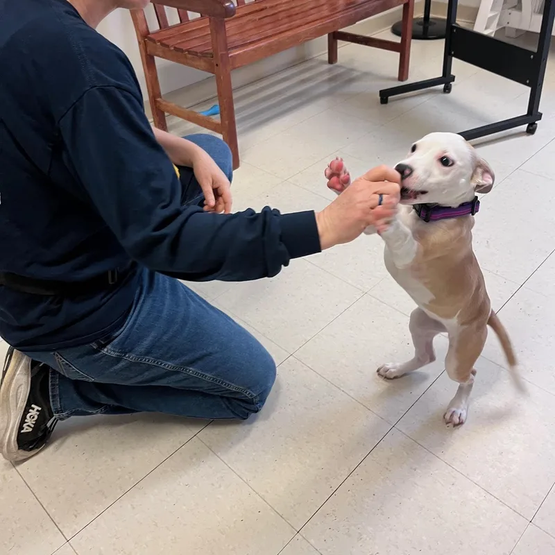 Macey @ Prison Program