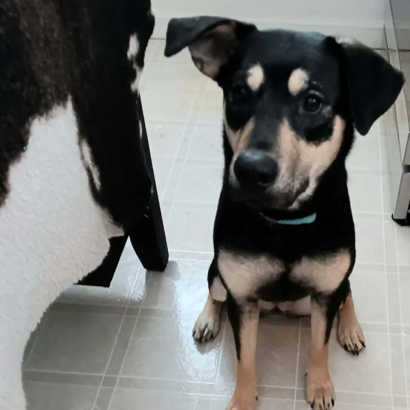 Genevieve thumbnail 3