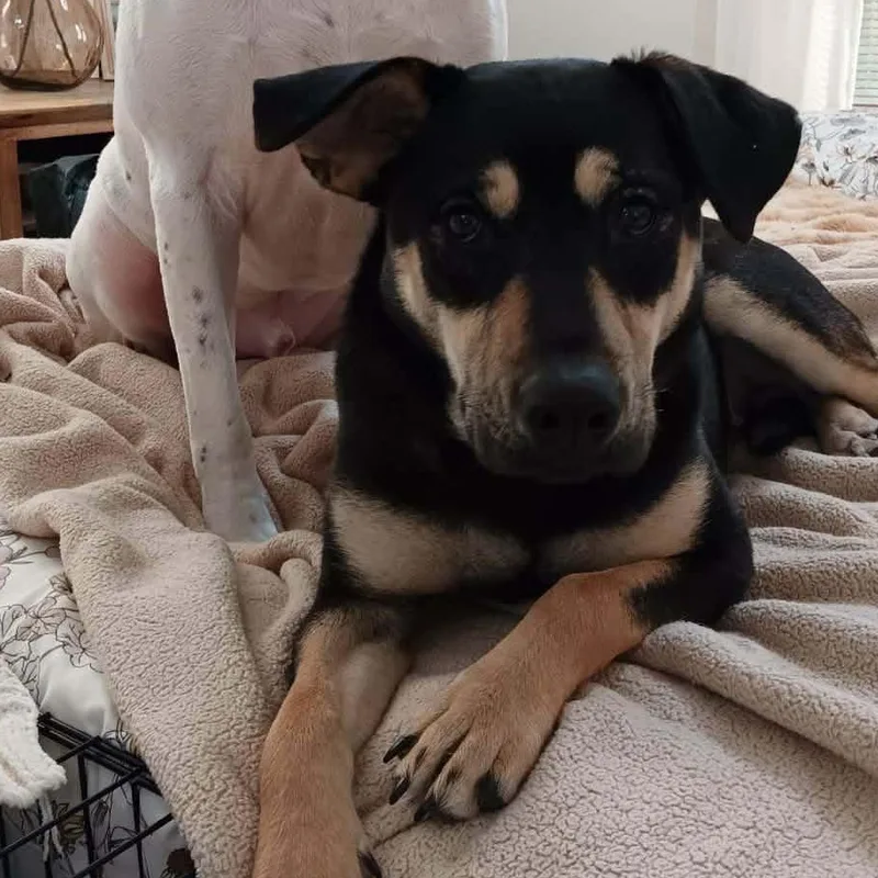 Genevieve thumbnail 4