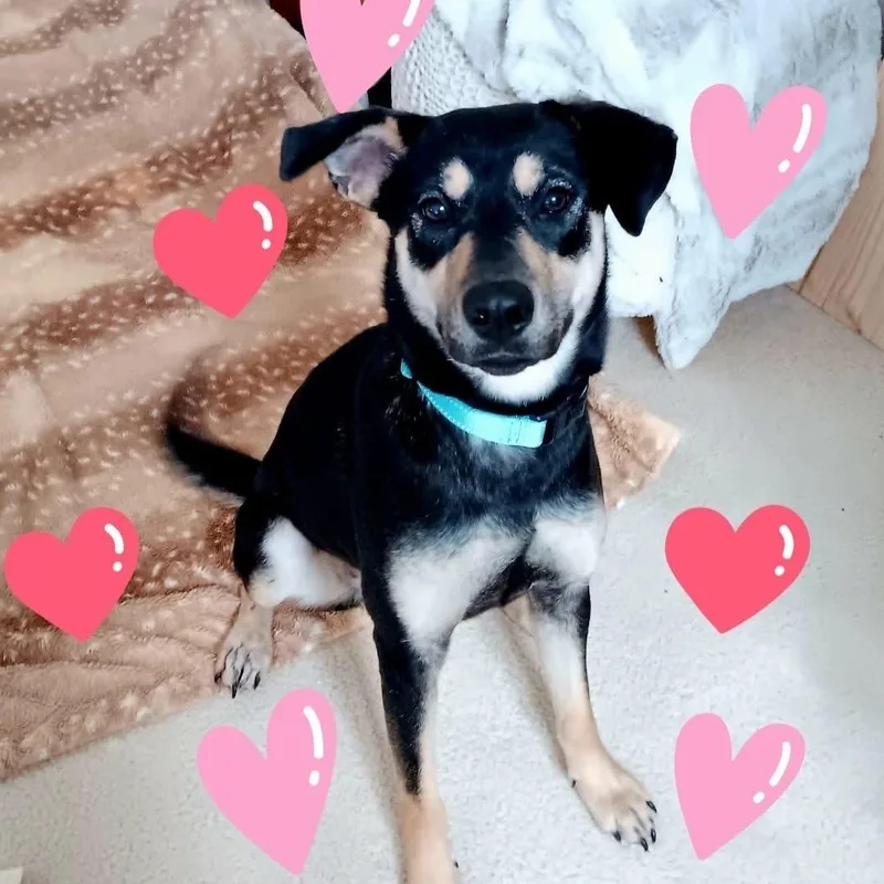 Genevieve thumbnail 5