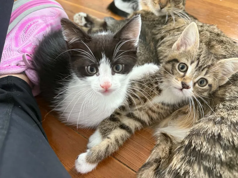 Desi And Lucy thumbnail 3