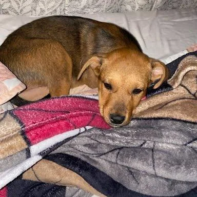 Benjamin thumbnail 3