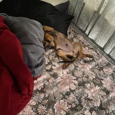 Benjamin thumbnail 4