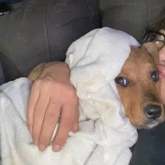 Benjamin thumbnail 5