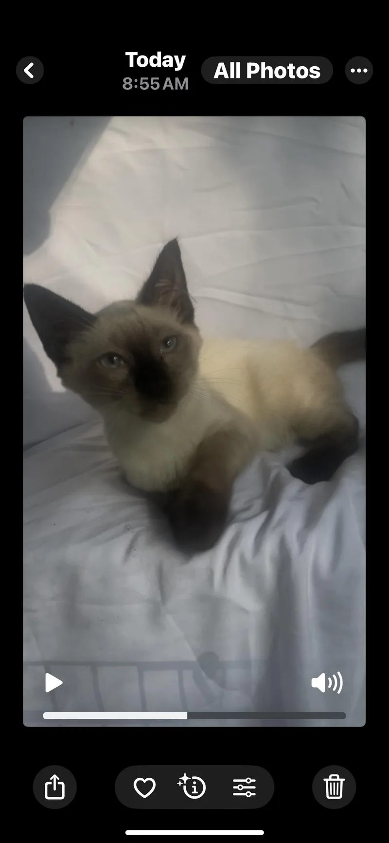 Mochi thumbnail 2