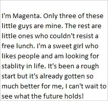 Magenta