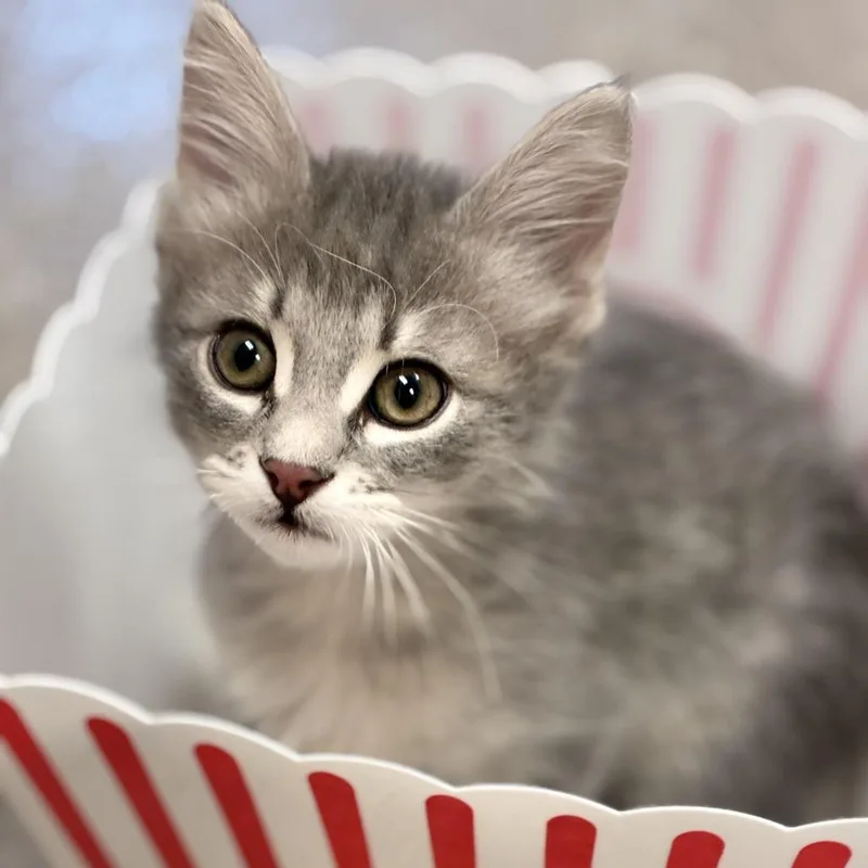 Lunchable thumbnail 2